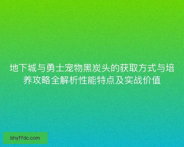 地下城与勇士宠物黑炭头的获取方式与培养攻略全解析性能特点及实战价值
